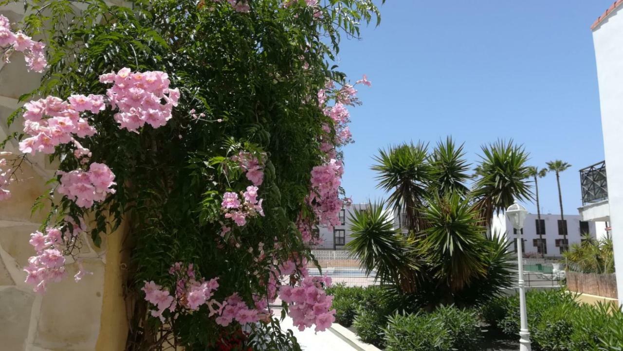 Tenerife Altamar Paradise Playa de las Americas  Eksteriør bilde